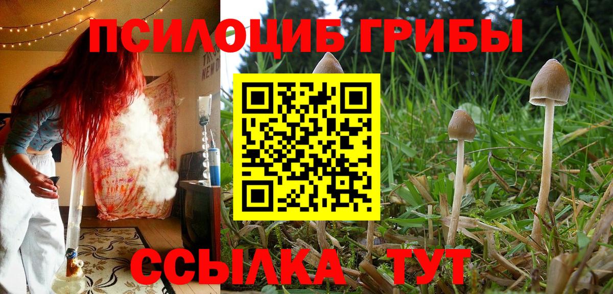 Псилоцибиновые грибы прущие грибы Ирбит