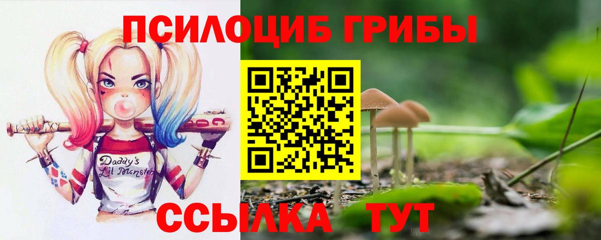 Ирбит  Галлюциногенные грибы Cubensis  купить наркотик  Галлюциногенные грибы прущие грибы  Вход с VPN 